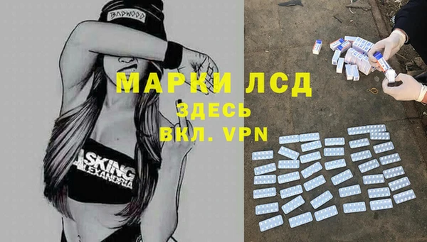 mdpv Горняк